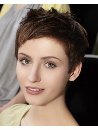 Short Haircut With Versatility Wig
